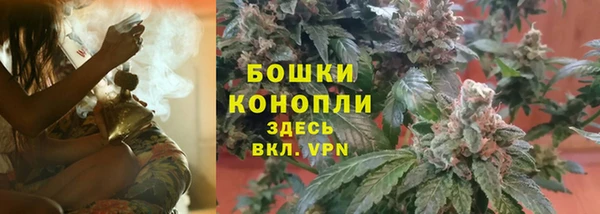 ешки Гусь-Хрустальный